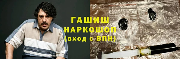 индика Богданович